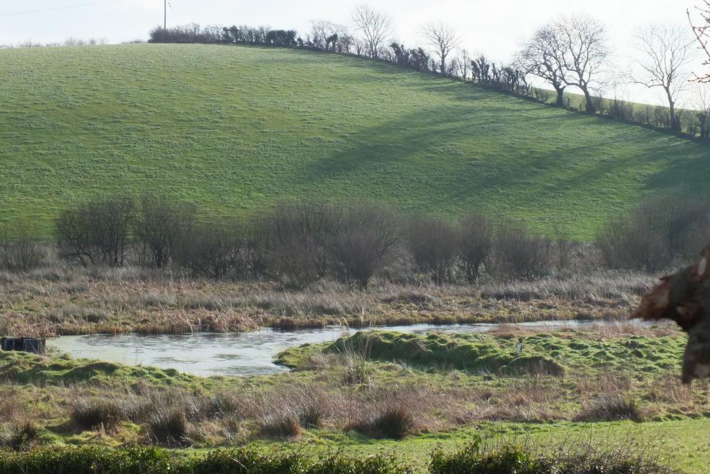 Barnwell Farm Cottages Corn Cottage Greyabbey Bilik gambar