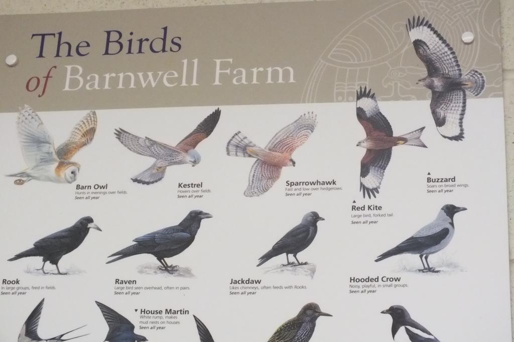 Barnwell Farm Cottages Corn Cottage Greyabbey Bilik gambar
